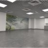 Blue Office (Podnajem)