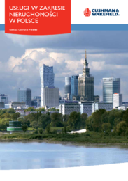 Usługi w Zakresie Nieruchomości w Polsce